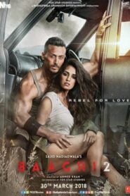 BAAGHI 2 (2018) บากิ ยอดคนสุดระห่ำ 2