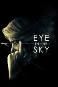 Eye in the Sky แผนพิฆาตล่าข้ามโลก (2015)