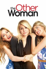 The Other Woman (2014) ดิ อาเธอร์ วูแมน