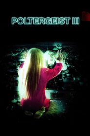 Poltergeist III (1988) กระจกข้ามมิติ ผีหลอกวิญญาณหลอน 3