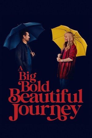 ดูหนัง A Big Bold Beautiful Journey (2025) ขับตรงไปเล็กน้อยบนถนนแห่งรัก