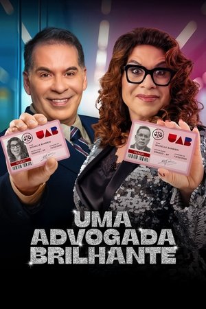 ดูหนัง A Bright Lawyer (2025)
