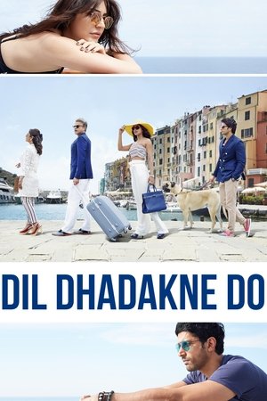 ดูหนัง Dil Dhadakne Do (2015) อุบัติรักวุ่น ๆ ณ ดินแดนสองทวีป