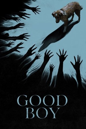 ดูหนัง Good Boy (2025) มะหมาเห็นผี