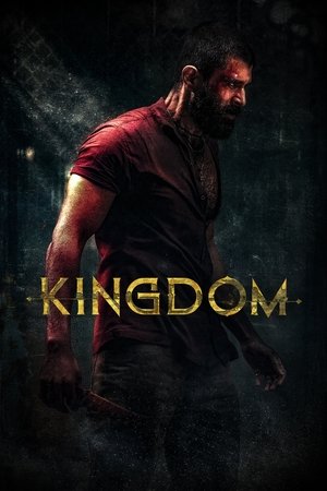 ดูหนัง Kingdom (2025) ฝ่าภารกิจเดือด