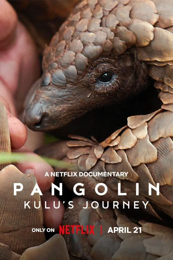 ดูหนัง Pangolin: Kulu’s Journey (2025) การเดินทางของคูลู