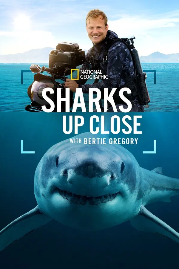 ดูหนัง Sharks Up Close with Bertie Gregory (2025)