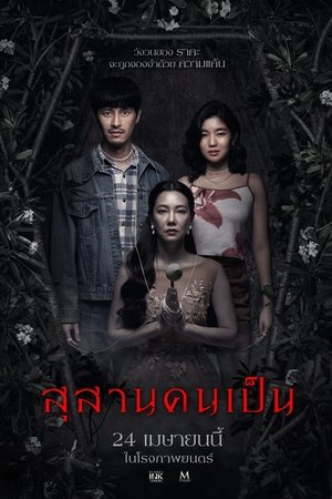 ดูหนัง Tomb Watcher (2025) สุสานคนเป็น