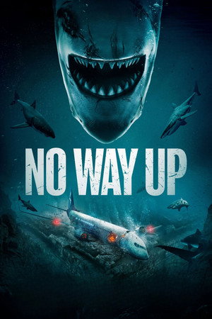 ดูหนัง No Way Up (2024) งาบคลั่งไฟลต์
