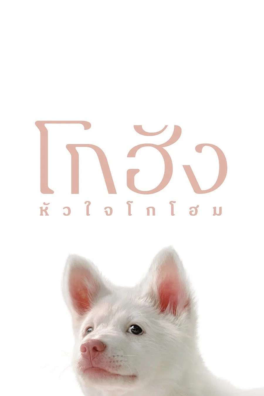 โกฮัง..หัวใจโกโฮม Gohan (2026)